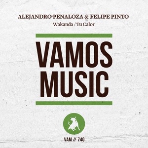 Обложка для Alejandro Penaloza, Felipe Pinto - Wakanda