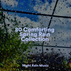 Обложка для Rainfall for Sleep, Soothing Baby Music, Nature Sounds Nature Music - Wind, Strong, Forest, Light Debris, Leaves, Rain