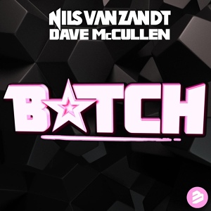 Обложка для Nils van Zandt x Dave McCullen - Bitch