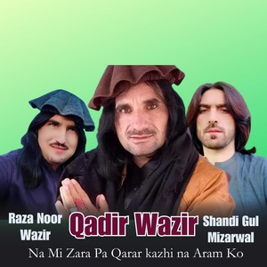 Обложка для Shandi Gul Mizarwal, Qadir Wazir, Raza Noor Wazir - Mina Khwand Ko