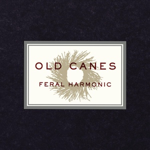 Обложка для Old Canes - Southern Radio