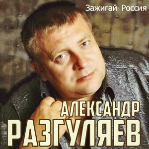 Обложка для Александр Разгуляев - Зажигай Россия