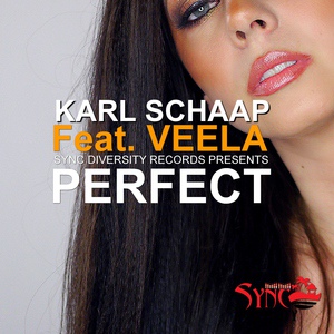 Обложка для Karl Schaap - Perfect