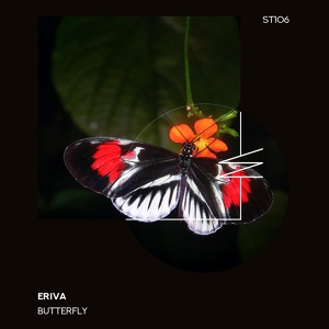 Обложка для Eriva - Butterfly (Extended Mix)