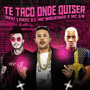 Обложка для Davi Lemos DJ feat. MC Magrinho, Mc Gw - Te Taco Onde Quiser