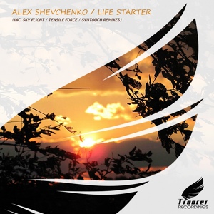 Обложка для Alex Shevchenko - Life Starter