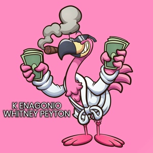 Обложка для K Enagonio - Flamingo