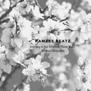 Обложка для Ramzes Beatz - Epilogue
