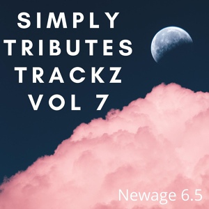 Обложка для Newage 6.5 - Skate (Tribute Version Originally Performed By Bruno Mars, Anderson .Paak, Silk Sonic)