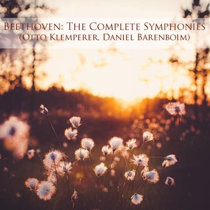Обложка для Philharmonia Orchestra, Otto Klemperer, Daniel Barenboim - Symphony No. 3 in E-Flat Major, Op. 55 "Eroica": I. Allegro con brio