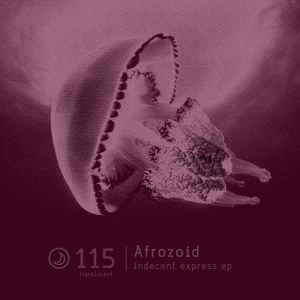 Обложка для Afrozoid - Indecent Express