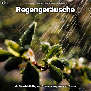 Обложка для Regenklänge Lysann Hofs, Naturgeräusche, Schlafmusik - Regengeräusche, pt. 25