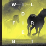 Обложка для BT - Wildfire (Somna Extended Remix)