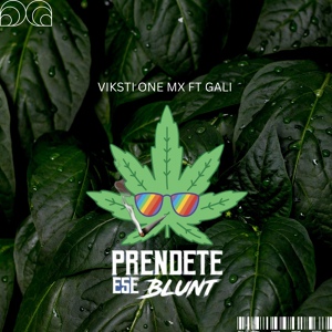 Обложка для Viksti One Mx feat. Gali - Préndete Ese Blunt