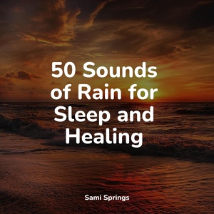 Обложка для Lullaby Rain, Sound Healing Center, Restless Baby Music - Woodland Birdsongs