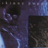 Обложка для Skinny Puppy - Social Deception