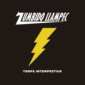 Обложка для Zumbido Llampec - Fart