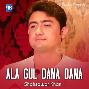 Обложка для Shahsawar Khan - Ala Gul Dana Dana