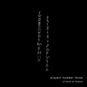 Обложка для project number three - Komi