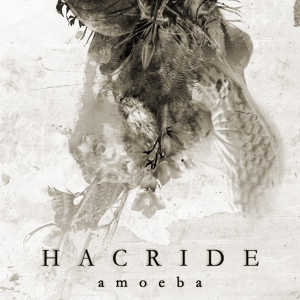 Обложка для Hacride - Perturbed