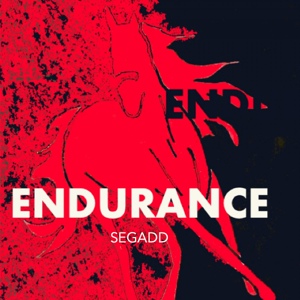 Обложка для Segadd - Endurance