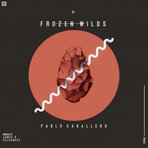 Обложка для Pablo Caballero - Frozen Winds (Original Mix)