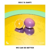 Обложка для Big Z, Santi, Dance Fruits Music - We Can Do Better