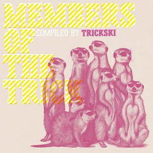 Обложка для Trickski - move me