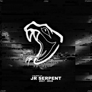 Обложка для JR Serpent, JDOG - Beat It up!