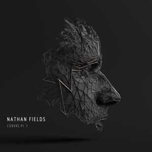 Обложка для Nathan Fields feat. Nick Rossi - Mad World