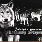 Обложка для Бочаров Владимир - Кругом тайга
