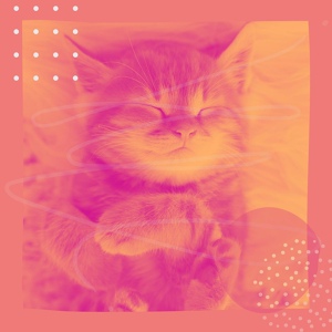 Обложка для Кошачья музыка Ретро - Чувство (Спящие кошки)