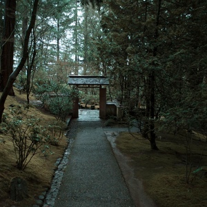 Обложка для Zen Music Garden, Massage Tribe, Tranquil Music Sound of Nature - Ambient Atmosphere