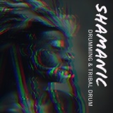 Обложка для Shamanic Drumming World - Shadow of Eagle