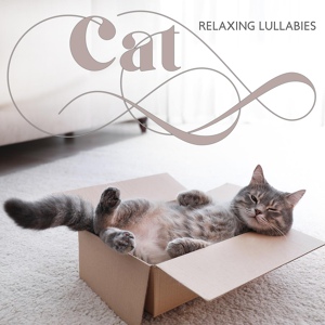 Обложка для Relaxing Music, Relaxation Academy - Songs for Cats