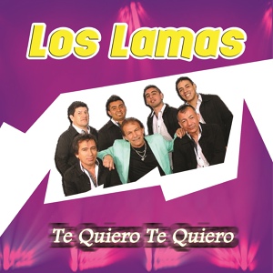Обложка для Los Lamas - Llorando por Ti