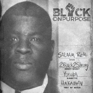Обложка для Salaam Remi - Is It Because I'm Black (Extended)