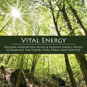Обложка для Vital Energy Duo - Vital Energy (Healing Meditation Music)