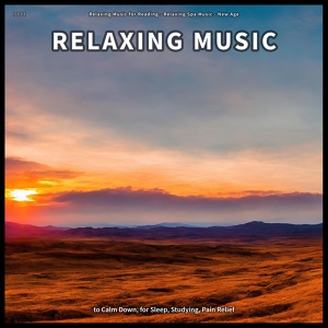 Обложка для Relaxing Music for Reading, Relaxing Spa Music, New Age - Baby Sleep Music