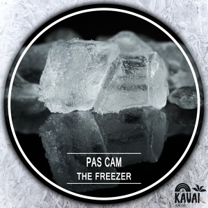 Обложка для Pas Cam - The Freezer