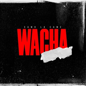 Обложка для Camo La Came feat. Nathys - Wacha