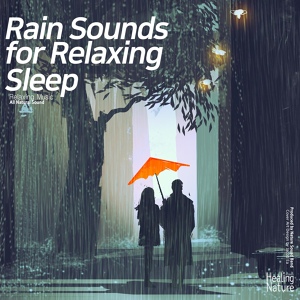 Обложка для 힐링 네이쳐 Nature Sound Band - 편안한 분위기의 빗소리 Calming Rain Sounds