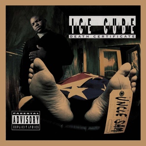 Обложка для # HIP HOP HISTORY vol. 2 - `1991 07 Ice Cube - A Bird In The Hand