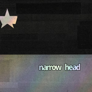 Обложка для Narrow Head - Love Sick