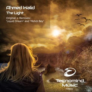 Обложка для Ahmed Walid - The Light