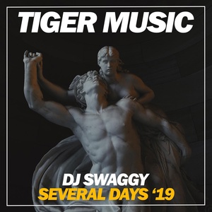 Обложка для DJ Swaggy - Several Days