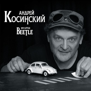 Обложка для Андрей Косинский - Бела Птица