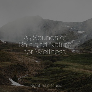 Обложка для Nature & Sounds Backgrounds, Exam Study Classical Music Orchestra, Relaxing Rain Sounds - Rain and Thunder