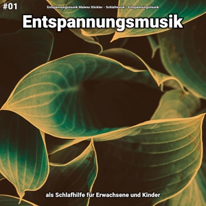 Обложка для Entspannungsmusik Malena Stickler, Schlafmusik, Entspannungsmusik - Entspannungsmusik pt. 6