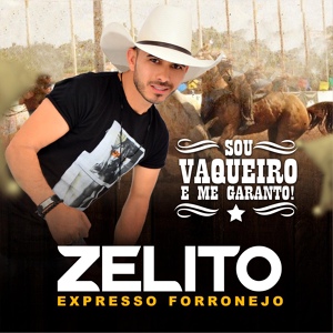 Обложка для Zelito Expresso Forronejo - Bruto Apaixonado